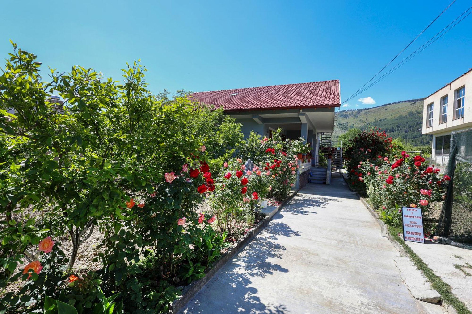 Samuela Cozy Retreat Villa Berat Bagian luar foto