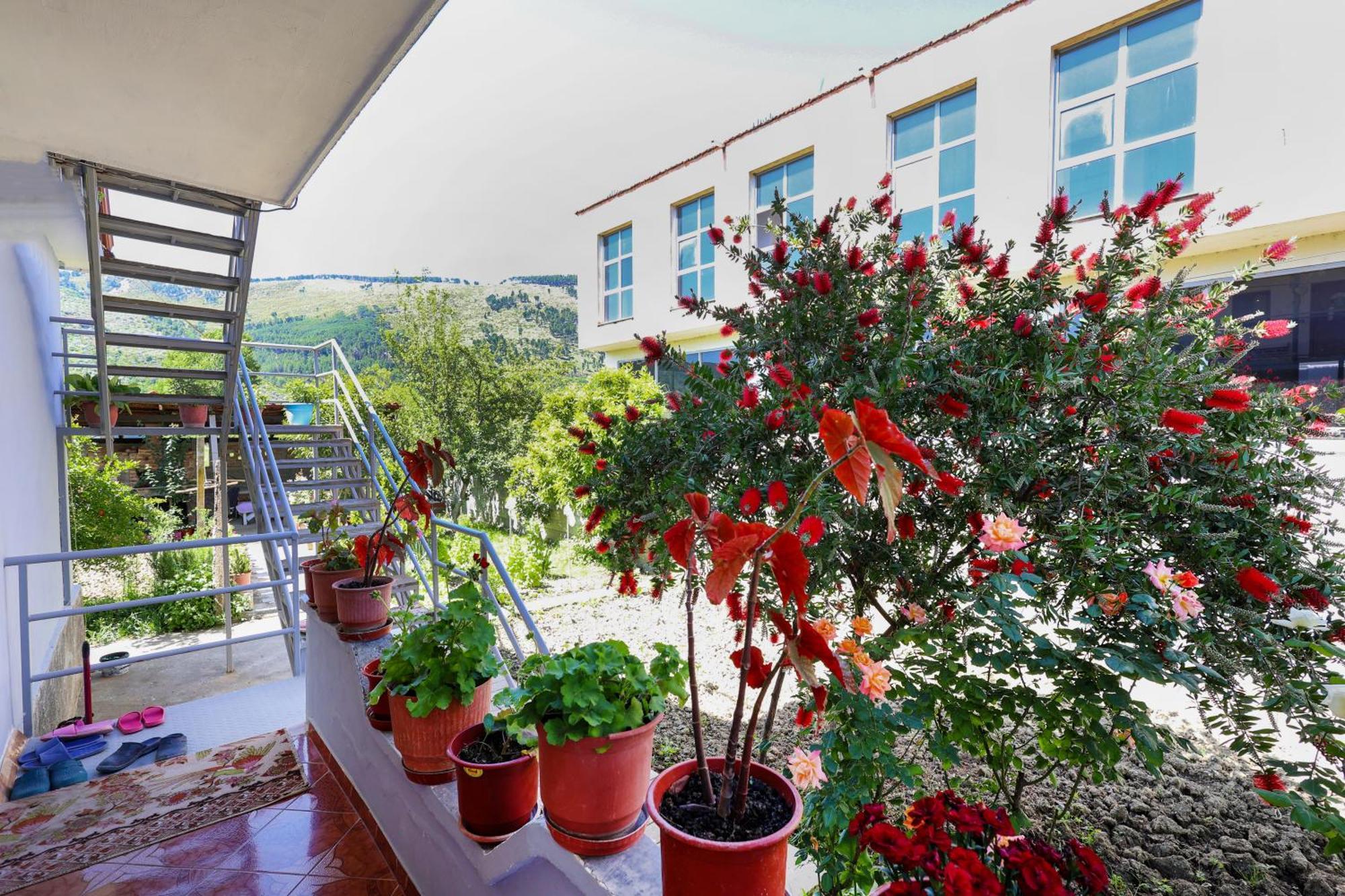 Samuela Cozy Retreat Villa Berat Bagian luar foto