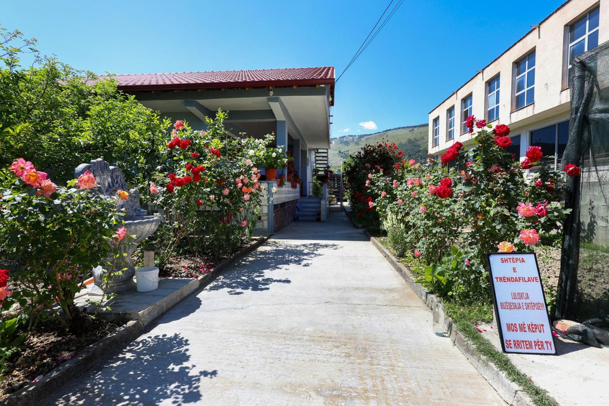 Samuela Cozy Retreat Villa Berat Bagian luar foto